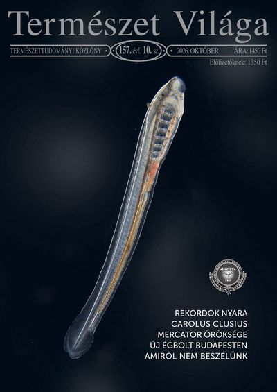 2026/10