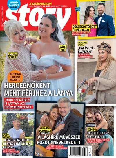 Story 2026/36