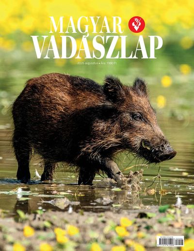 2026 augusztus